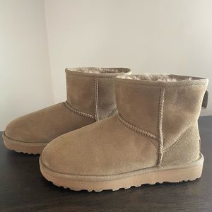 UGG- classic mini boot